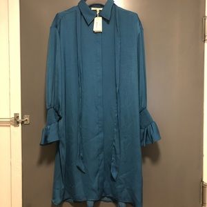 Satin shirt dress (Tags not attached anymore)